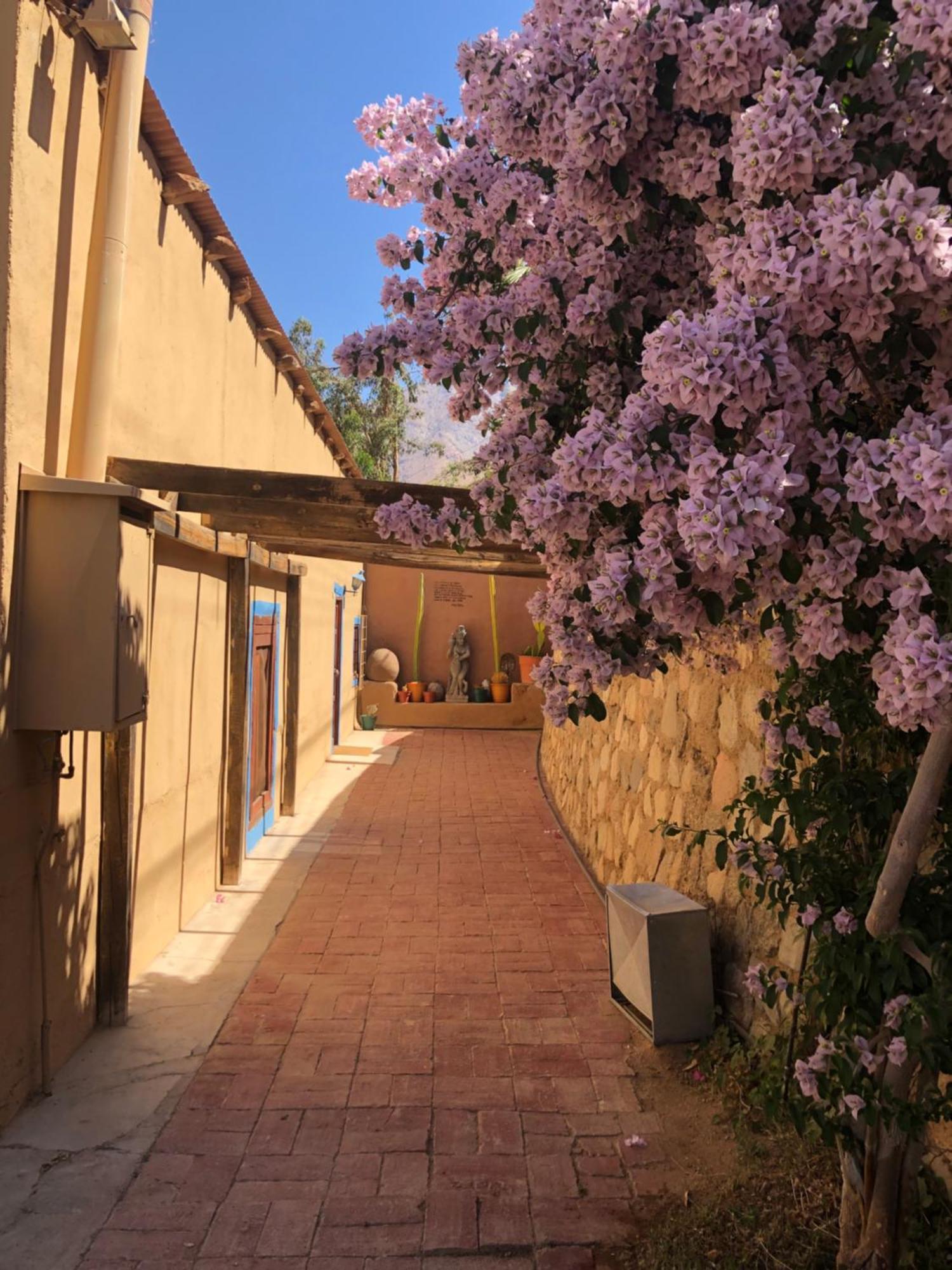 Cabanas Elquimista Pisco Elqui Zewnętrze zdjęcie